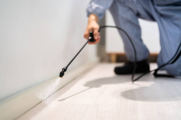 Rodent Entry Point Assessment in Wheatley Heights