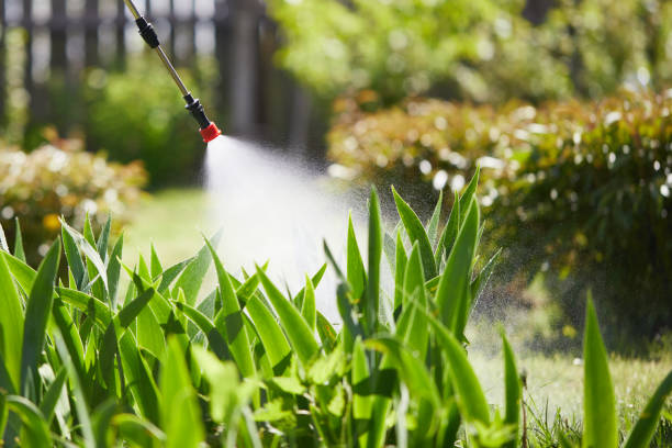 Tamper-Resistant Bait Stations for Rodents in Wheatley Heights