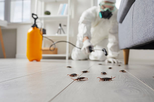 Commercial Rodent Management in Wheatley Heights